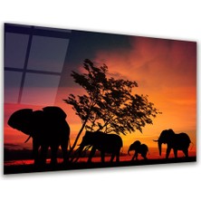 Glass Art Fil Ailesi Yatay Cam Tablo