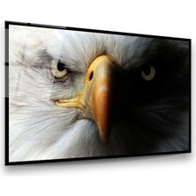 Glass Art Kartal Yüzü Yatay Cam Tablo