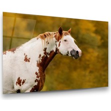 Glass Art At Yatay Cam Tablo