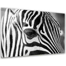 Glass Art Zebra Yatay Cam Tablo