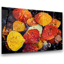 Glass Art Yapraklar ve Su Damlaları Yatay Cam Tablo