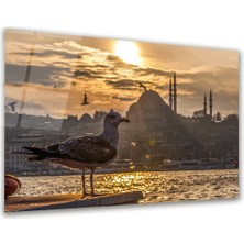 Glass Art Kuş ve Istanbul Yatay Cam Tablo