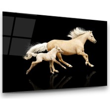 Glass Art Koşan At ve Yavrusu Yatay Cam Tablo