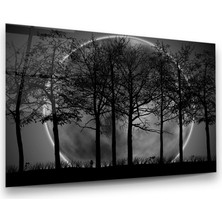 Glass Art Ay ve Ağaçlar Yatay Cam Tablo