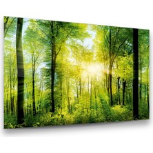 Glass Art Orman Yatay Cam Tablo