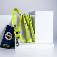 Pawlook Pawlook, Fenerbahçe Lisanslı, Köpek Gezdirme Tasması, Gezdirme Kayışı