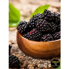 %100 Doğal Hatay Usulü Böğürtlen Şurubu 650 gr