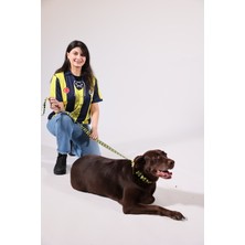 Pawlook Pawlook,fenerbahçe Lisanslı,köpek Gezdirme Kayışı, Gezdirme Tasması