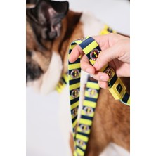 Pawlook Pawlook,fenerbahçe Lisanslı,köpek Gezdirme Kayışı, Gezdirme Tasması