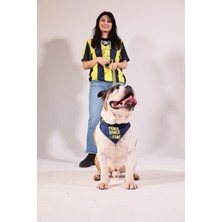 Pawlook Pawlook,fenerbahçe Lisanslı, Köpek Bandanası,tasma