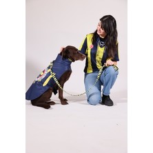 Pawlook Pawlook,fenerbahçe Lisanslı,köpek Yağmurluğu,