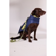 Pawlook Pawlook,fenerbahçe Lisanslı,köpek Yağmurluğu,