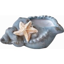 Morlalem Istiridye Midye Mumluk Silikon Kalıp K-586, Kokulu Taş Sabun Alçı Mum Kalıbı