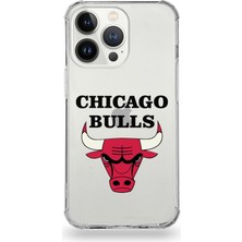 PrintiFy Apple iPhone 13 Pro Max Uyumlu Darbe Emici Antişok Kapak Chicago Bulls Tasarımlı Şeffaf Kılıf