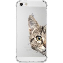 PrintiFy Apple iPhone 5se Uyumlu Darbe Emici Antişok Kapak Catface Tasarımlı Silikon Şeffaf Kılıf