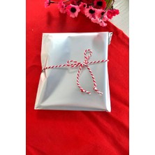 Emtory Home Gümüş Janjanlı Hediye Paketi 15 x 25 cm 10 Adet Yapışkanlı Ambalaj