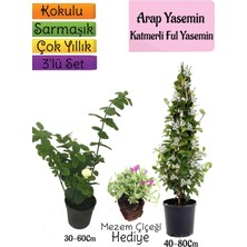 Serada Decor Plant Kokulu Arap Yasemini+Katmerli Ful Yasemin+Mezem Çiçeği Hediyeli 3'lü Bahçe Seti