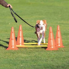 Trixie Köpek Agility Oyuncağı 2 Adet 30X50CM 100CM 326107