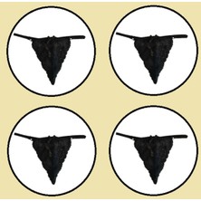 COOQPOO 4 Lü Paket Dantel Külot