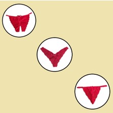 COOQPOO 3 Lü Paket Dantel Külot