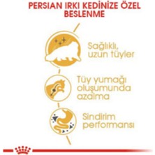 Royal Canin Persian Iran Kedileri Için Yetişkin Kuru Kedi Maması 4 kg