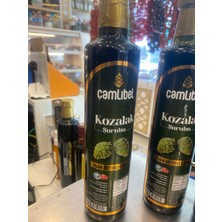 Çamlıbel Kozalak Şurubu