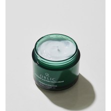 Orlic Orlicrosemary & Ectoin Youth Cream - Biberiye & Ektoin Özlü Yaşlanma Karşıtı Krem