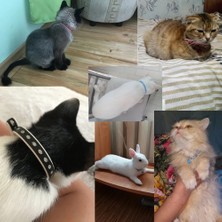 Shanhua Shop Mavi 2-JW0007 Stili Resim Olarak Isim Çanlı Kedi Tasması Küçük Köpek ve Yavru Kediler Için Evcil Hayvan Ürünü Kedi Tasmaları ve Kurşun Köpek Tasmaları J (Yurt Dışından)