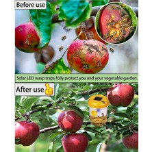 Pakuhit 2 Paket Solar Wasp Trap Dış Mekan Asma, Wasp Cather Asma Işıklı (Yurt Dışından)