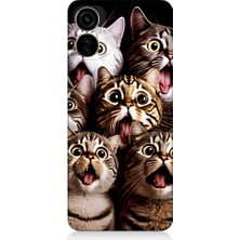 Teknomeg Tecno Spark 9 Pro Uyumlu Şaşkın Kediler Desenli Silikon Kılıf