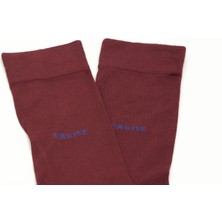 Carise Premium Bambu Çorap 12'li