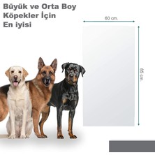 Pawaway Köpek Tırmalama Mobilya Koruyucu Yapışkanlı, Şeffaf, Kalın 60X85 Cm.