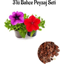 Serada Decor Plant Mor PETUNYA(10-20CM)+KIRMIZI PETUNYA(10-20CM)+2LT Dekoratif Taş 3'lü Peyzaj Seti