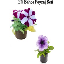 Serada Decor Plant Bodro Beyaz PETUNYA(10-20CM)+AÇIK Mor Petunya (10-20CM) 2'li Bahçe Peyzaj Seti
