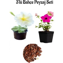 Serada Decor Plant Beyaz PETUNYA(10-20CM)+PEMBE PETUNYA(10-20CM)+2LT Dekoratif Taş 3'lü Peyzaj Seti