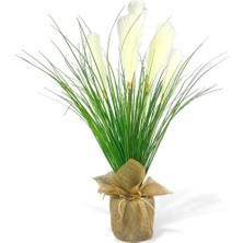 Nettenevime Yapay Çiçek Beyaz Püskül Grass Keten Saksılı Panpas 80*40CM Saz