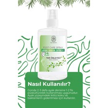 Ras Dashen Ayak ve Ayakkabı Koku Önleyici Giderici Sprey , Ferahlatıcı Nemlendirici Etkili 50 ml