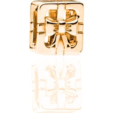 Adal Silver Kadın 925 Ayar Gümüş Reflexions Uyumlu Hediye Paketi Charm