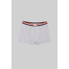 Ceylanoğlu 6'lı Erkek Çocuk Likralı Sade Boxer- 343 Gri