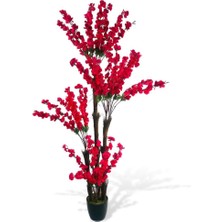 Nettenevime Yapay Ağaç Bahardalı Japon Kiraz Çiçeği 4katlı Fuşya 170*65CM