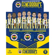 Mythos Cards Fenerbahçe 2023-24 Sezon Kartları - Tam Kutu