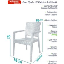 Nar Sokağı 4 Adet Zeugma Rattan Kollu Sandalye Koltuk Kapiçino