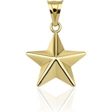 Fiyonk Kuyumculuk 14 Ayar Altın Köşeli Yıldız Kolye Ucu