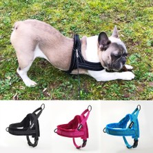 Longbangdian Shop Gül Kırmızısı Tasma Stili L Beden No-Pull Köpek Koşum Yansıtıcı Ayarlanabilir Flanel Yastıklı Küçük Orta ve Büyük Köpek Koşum Yeleği Yürüyüş Eğitimi Için Kolay (Yurt Dışından)