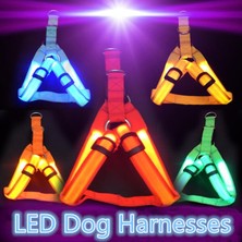 Longbangdian Shop Yeşil Stil Xl Beden Naylon Pet Güvenlik LED Koşum Köpek Ürünü Yanıp Sönen Işık Koşum LED Köpek Koşum Tasma Halat Kemer LED Köpek Yaka Yelek Pet Malzemeleri (Yurt Dışından)