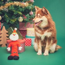 Longbangdian Shop A3 Stili Pet Köpek Noel Peluş Squeak Oyuncak Çiğneme Oyuncak Küçük Orta Köpekler Için Rahat Diş Taşlama Oyuncakları Isırmaya Dayanıklı Polyester (Yurt Dışından)