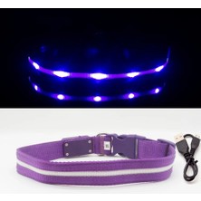 Longbangdian Shop Mor Tarzı L Boyun 49-70CM Ipx7 Su Geçirmez LED Köpek Yaka Köpekler Için Noel USB Şarj Yaka Köpek Yavruları Anti-Kayıp Kurşun Pet Ürünleri Köpek Aksesuarları (Yurt Dışından)