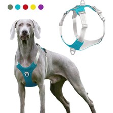 Longbangdian Shop Kırmızı Stil Xxl Pet Köpek Koşum Yelek Hiçbir Çekme Yansıtıcı Köpek Eğitim Koşum Yaka Orta Büyük Köpekler Için Büyük Irk Husky Labrador Evcil Hayvan Malzemeleri (Yurt Dışından)