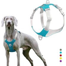 Longbangdian Shop Sarı Stil Xl Beden Pet Köpek Koşum Ayarlanabilir Yansıtıcı Köpek Göğüs Kemeri Yelek Küçük Orta Büyük Köpekler Için Açık Eğitim Koruyucu Köpek Koşum (Yurt Dışından)