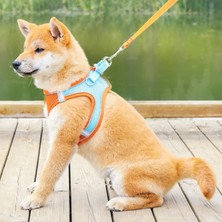 Longbangdian Shop Mavi Kombinasyon Stili S Beden Turuncu Pet Tasma Kedi Yelek Kırmızı Köpek Göğüs Koşum Ayarlanabilir Naylon Nefes Yansıtıcı Açık Yürüyüş Köpek Göğüs Kemeri Yavru Kedi (Yurt Dışından)